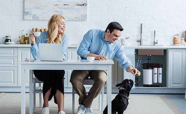 אוסמוזה: חשיפת תופעת הטבע המביאה לבריאות